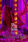 Wedding Nights (E03) FlizMovies Hot Web Series