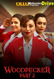 Woodpecker (Part 2) Ullu Hot Web Series (2025)